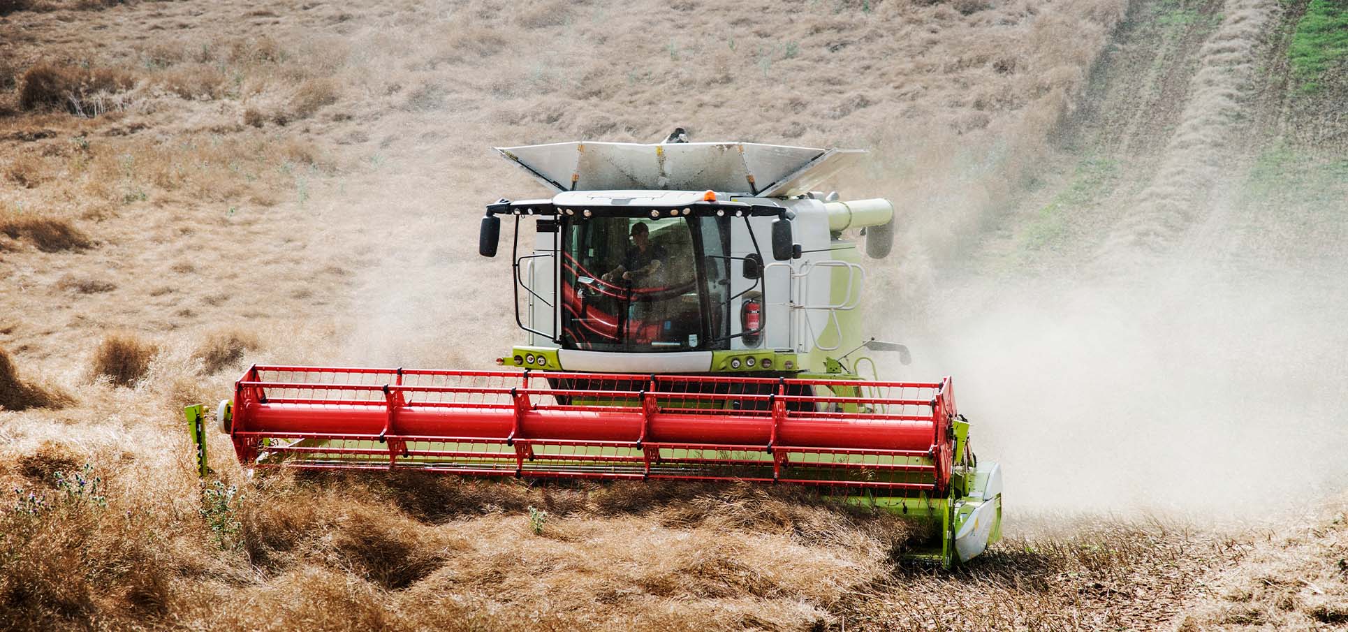 Combine Harvest